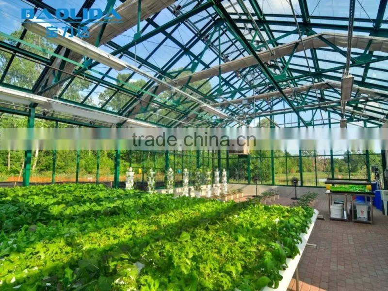 BaoLiDa pc shed greenhouse hot-dip galvanized steel pipe structure for roses