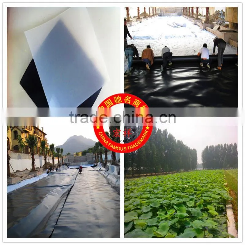 Price of HDPE Geomembrane for highway foundation reinforcement