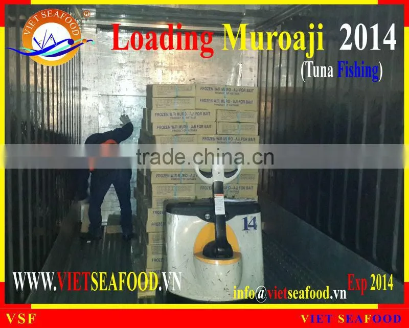 LOADING MUROAJI FOR TUNA BAIT