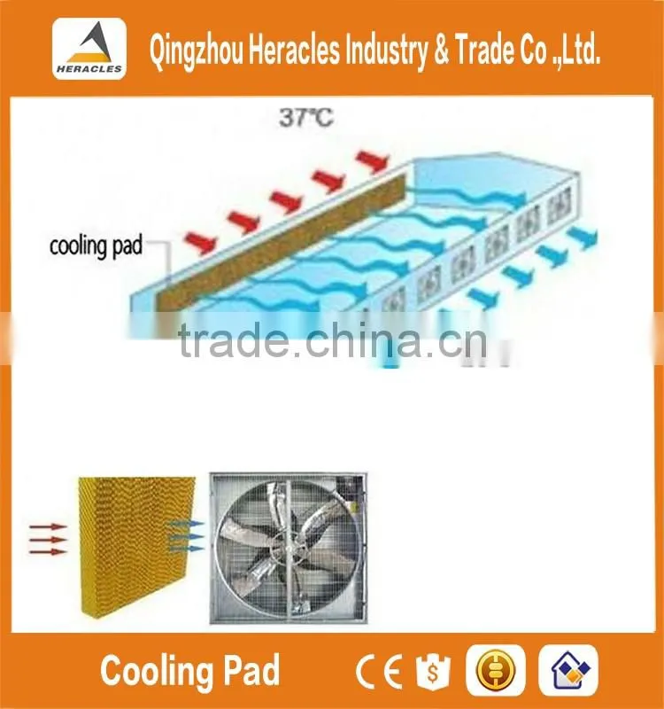 Heracles hot sale 5090 evaporative cooling pad for poultry farm and green house