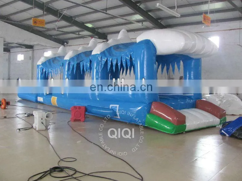 NEWEST & FUNNY Long Form Inflatable Water Game Pools