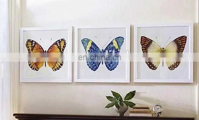 Popular product colorful funny square picture frame wholesale