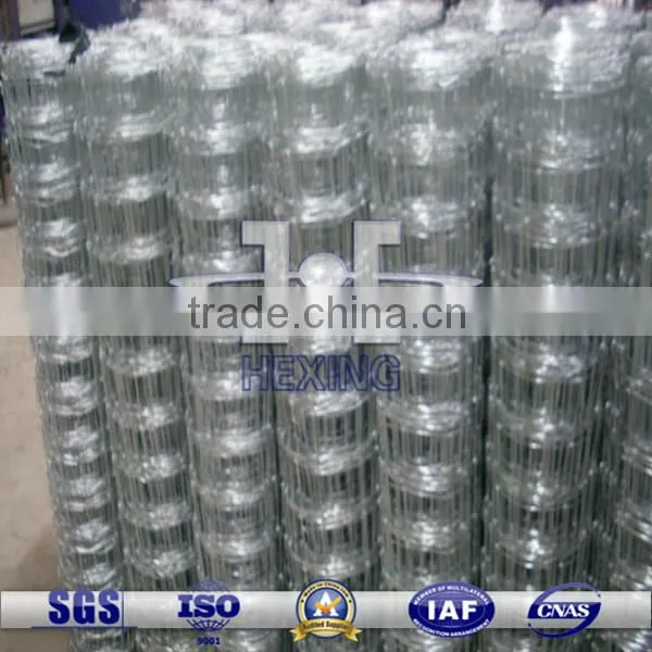 Galvanized/Low Carbon Steel Grassland Fence| Farm Fence| Field Fence