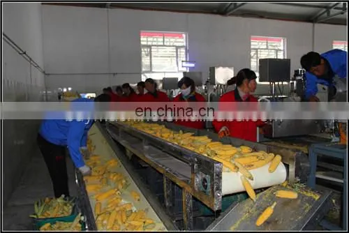 Industrial Sweet Corn Processing Line include Threshing Blanching Washing Dewatering Air Drying Machine