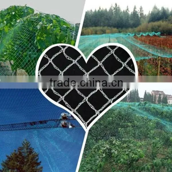 high quality vineyard bird netting for agriculture