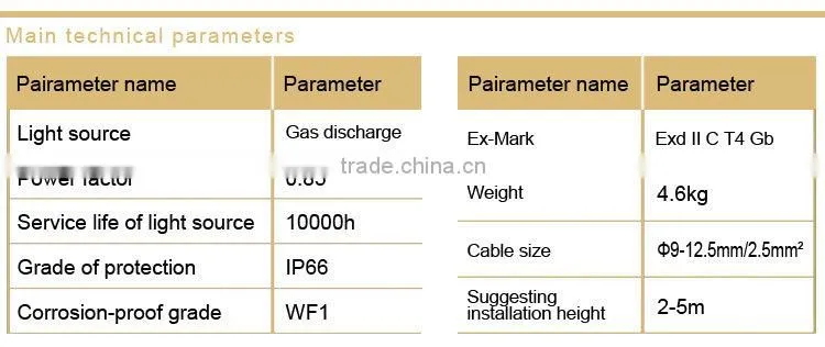 BAX81 explosion-proof light