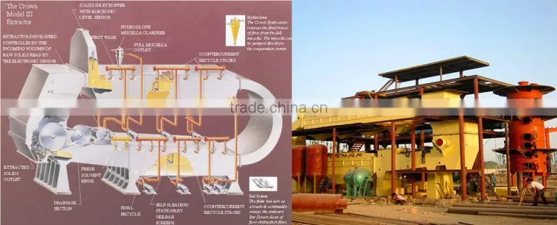 New Lead turnkey project vegetable oil extraction machines, power saving sunflower oil machine, soybean oil machine for sale