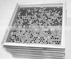 shanghai coffee bean classifier machine/soybean grading machine