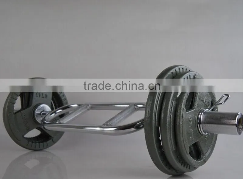 handle painting olympic barbell weight plate in weight lifting