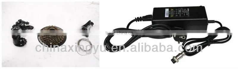 cheaper electric bike XY-TDE03ZA