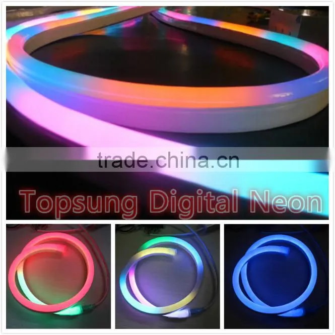 garden decoration 14*26mm digital fled led neon light for building