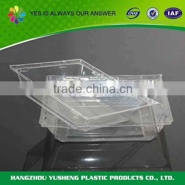 Accept custom order plastic chocolate tray