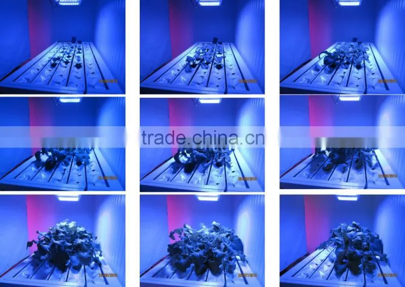 Lumini smart hydroponics grow light system