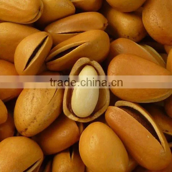 American type almond