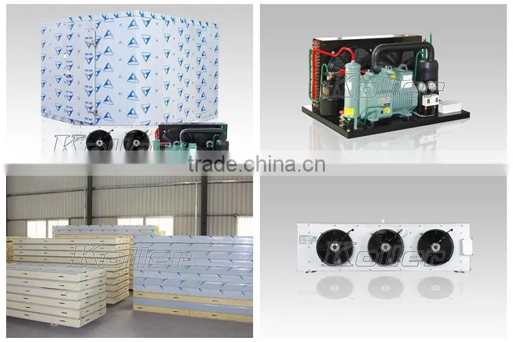 Commercial Modular Freezer Cold Room with 20CBM for Meat storage VCR20