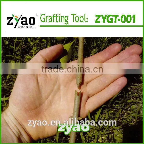 multi-function grafting tool