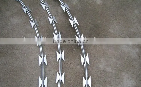 razor barbed wire mesh fence/stainless steel razor barbed wire