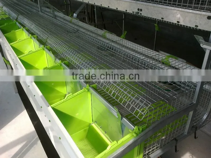 Automatic Rabbit Farming Equipment for Rex Rabbit