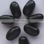 Black Kidney beans 2010 crop