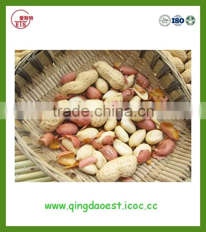 Peanut in shell