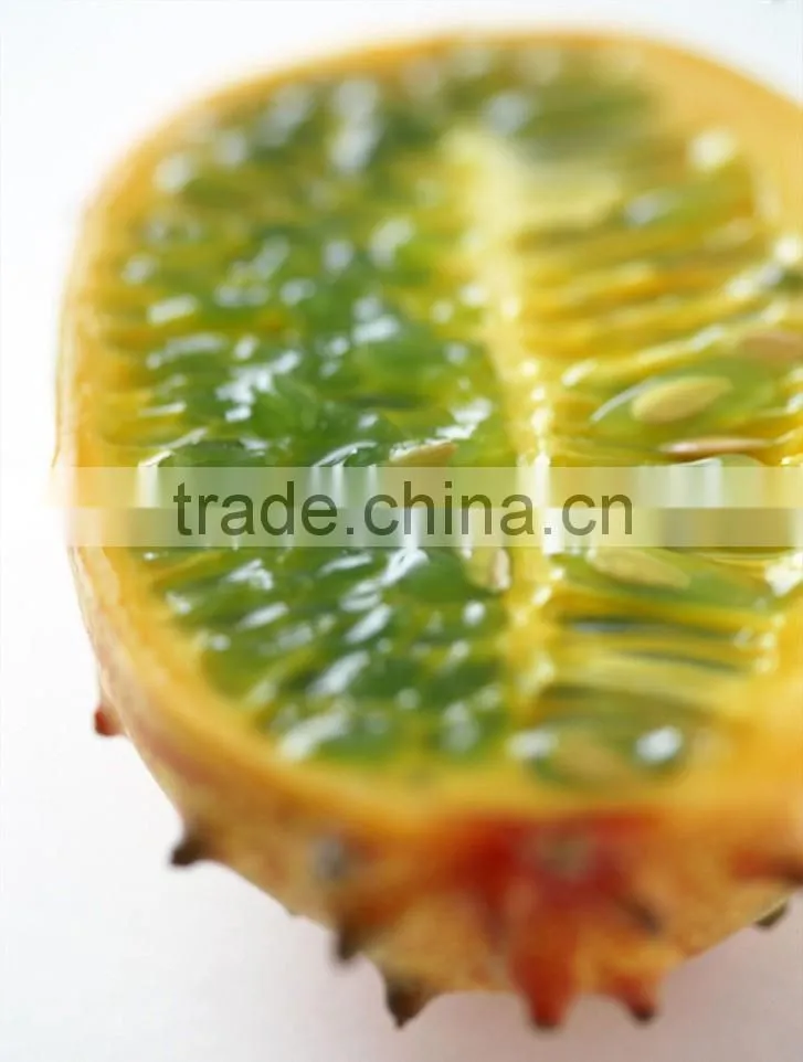 Hedged gourd Melano Kewana Cucumis metuliferus Seeds