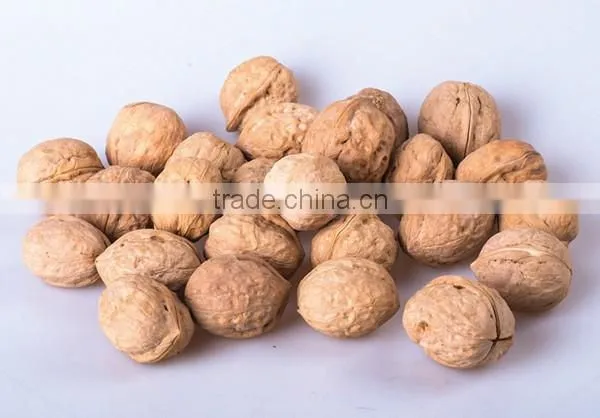 Chinese Supplier of dried walnut kernel for sale and with best quality walnut for hot sale