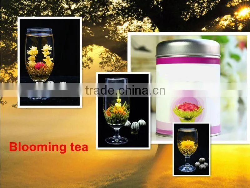 China Blooming Tea(Jasmine flower)