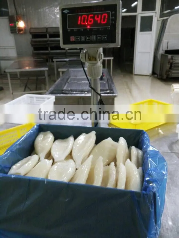 Frozen squid tube fish U5