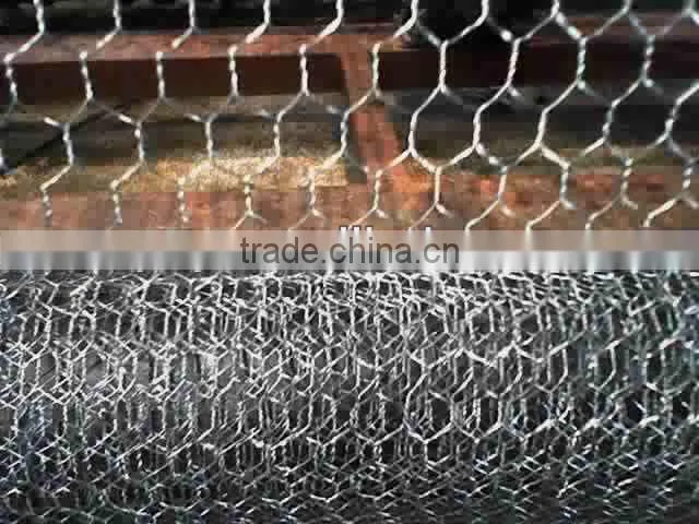 Hexagonal Wire Mesh/Gabion box/wire mesh container