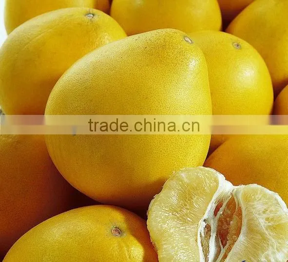 new design persimmon peeling machine