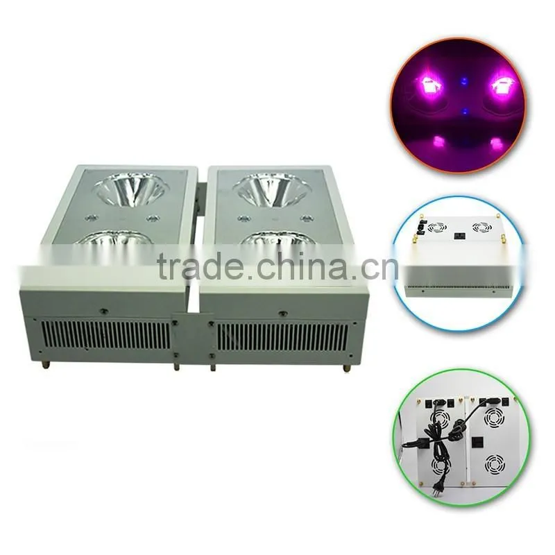UV Light Lamp Malaysia Greenhouse Horticulture Used LED Grow Light