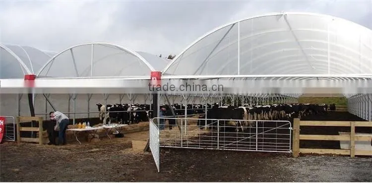 Factory Price Galvanized steel frame agricultural plastic green house