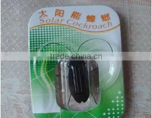 Chinese manufacturer Solar spider/Cockroach Toy Best gift for 3-6 years old kids