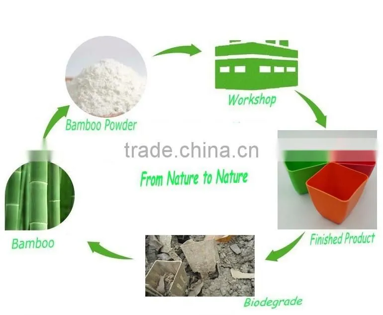 Sustainale Biodegradable Flower Pots