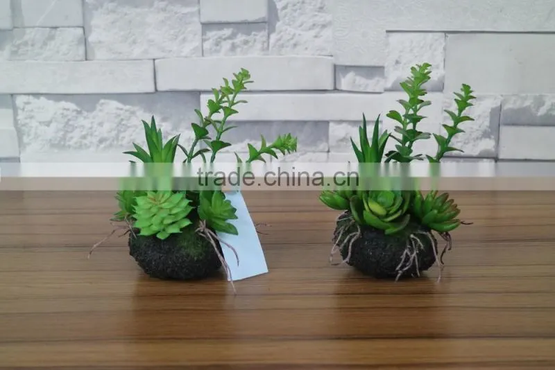 plastic mini succulent plants arrangement in pot