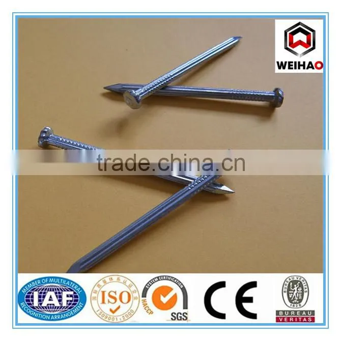 Good quality manufacture in China concrete kg nails 1 inch 2 inch