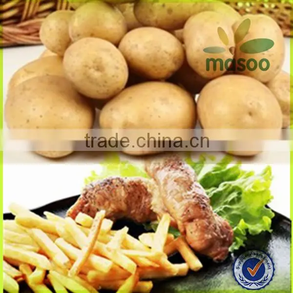 holland potato certified fresh sweet potato 150-200g exporter