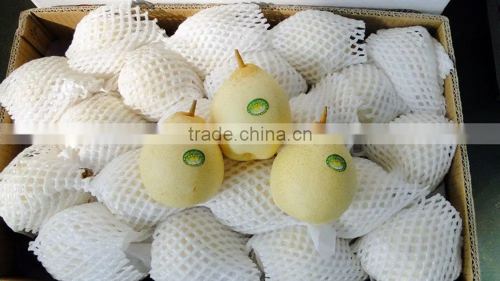 Chinese Ya Pear
