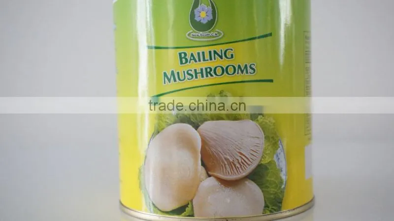 China New Cultivated Canned Bailing Mushroom Whole
