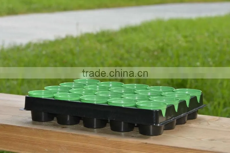 plastic tray with mini pot