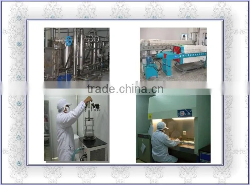 Enzyme Based Product for Refining Applications
