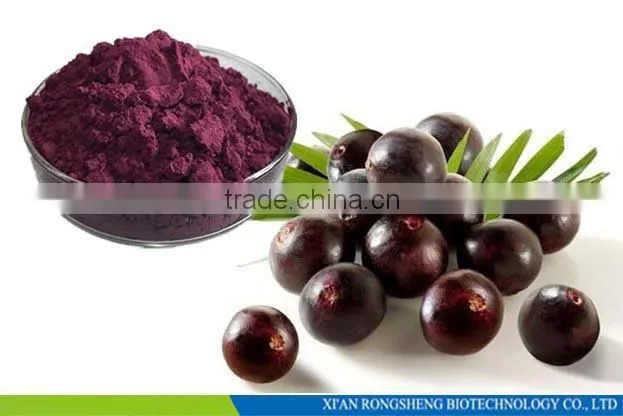 Hot Sale Freeze Dried Powder Organic Acai Berry