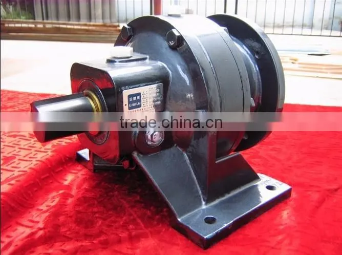 cycloidal speed reducers for electric motors