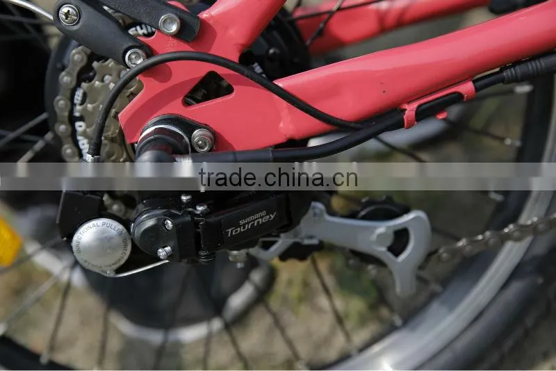 Small city e bike 2014 new design brushless motor wheel e bike