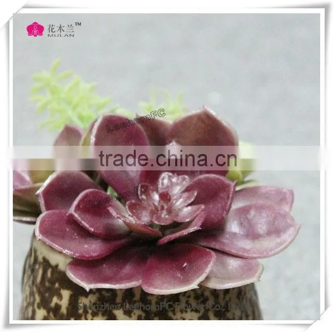 decorative artificial succulent grow in succulent pot