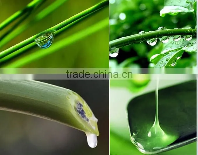 Dongguan Anti Mold Sticker