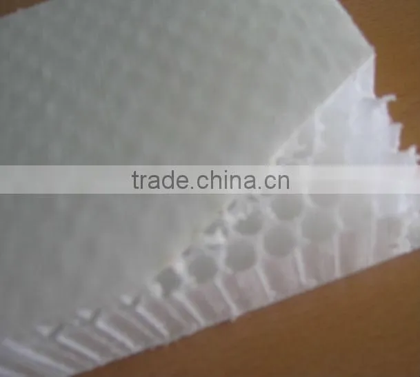 High quality polypropylene honeycomb sandwich panel