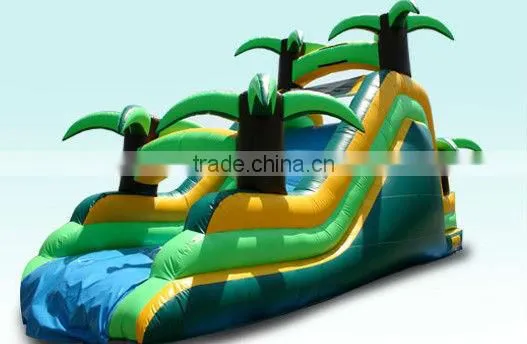 Tropical Inflatable Slide