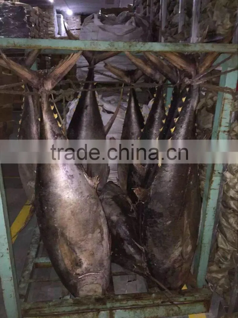 2016 new Product Frozen Tuna Fish Yellowfin