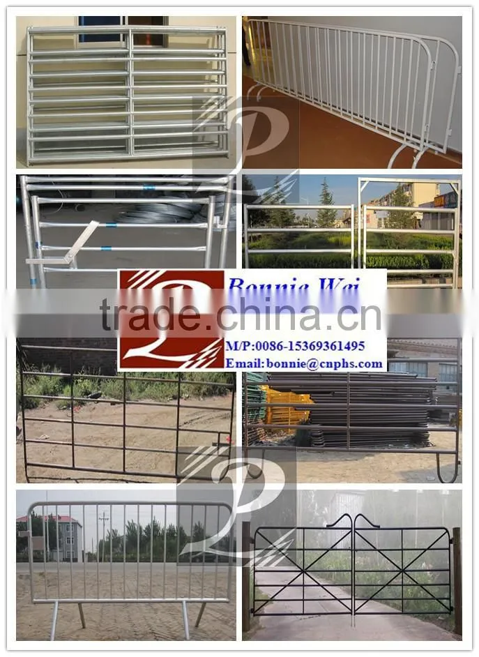 Clear metal Steel liner panel(factory & trader)